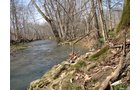 Property photo 25 - 137 Acres in 2 Tracts - 64 Tillable Acres, Potential Building Sites, Hunting